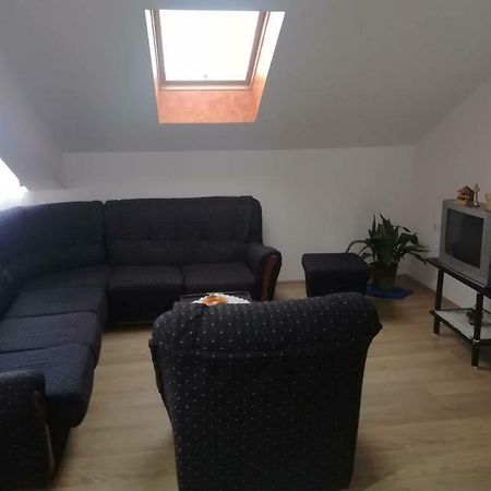 Apartman Ivana Ica Sokobanja Extérieur photo