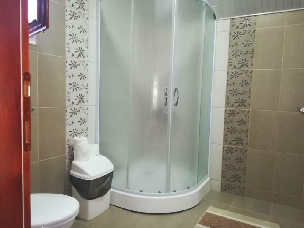 Apartman Ivana Ica Sokobanja Extérieur photo